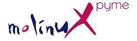 Logo Molinux Pyme