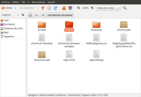Plugin Flash Plugin Flash