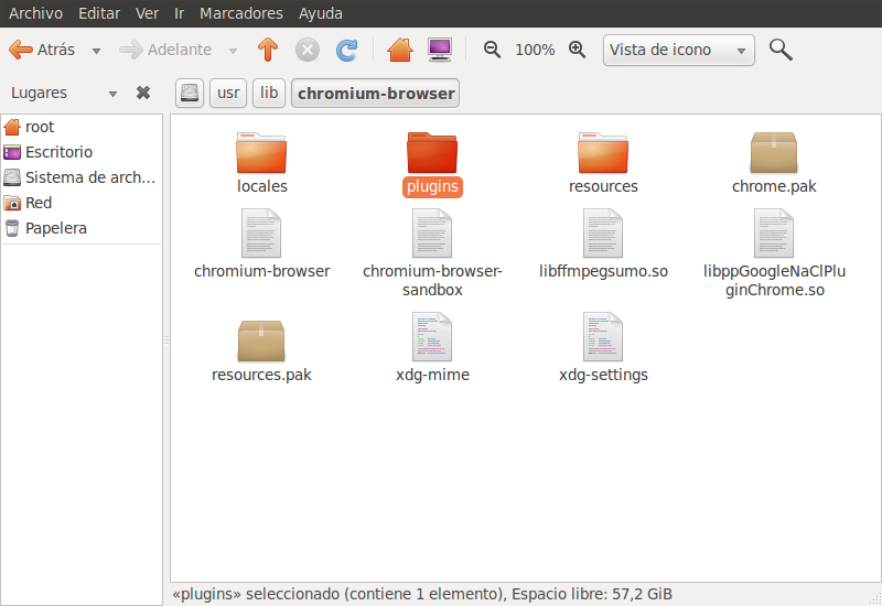Plugin Flash